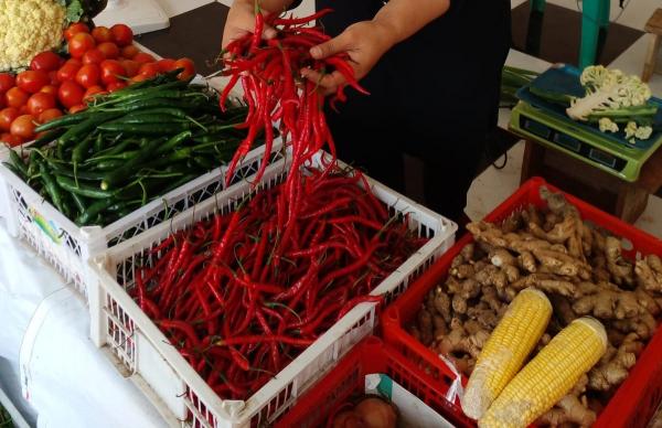 Harga Cabai Rawit Merah di Pasar Ciamis Makin Pedas, Tembus Rp90.000 per Kilogram