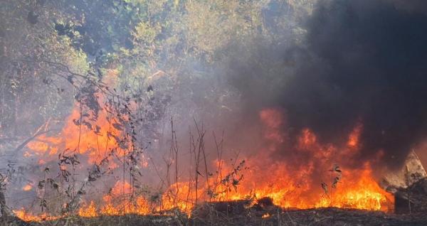 Hutan Wisata Bukit Kukus Bangka Barat Terbakar