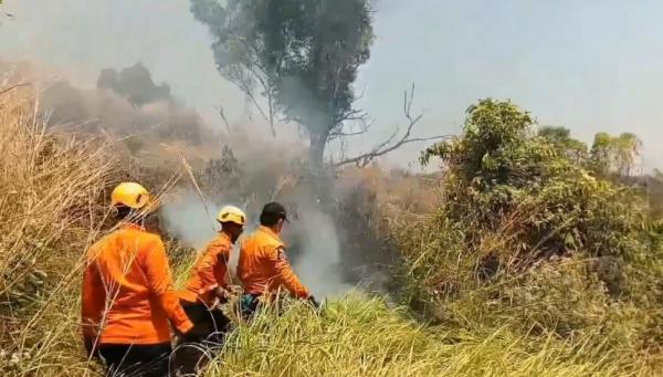 Lahan Kering 10 Hektare di Cilegon Terbakar, Petugas Kesulitan Padamkan Api