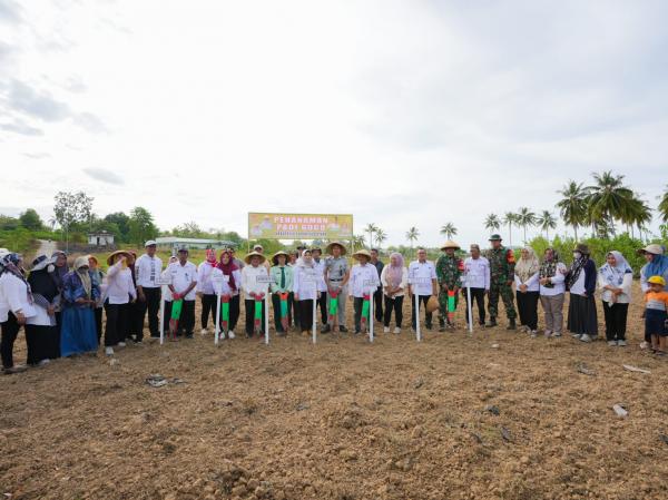 Kementan Genjot Varietas Padi Lokal 'Temo' di Gorontalo Utara