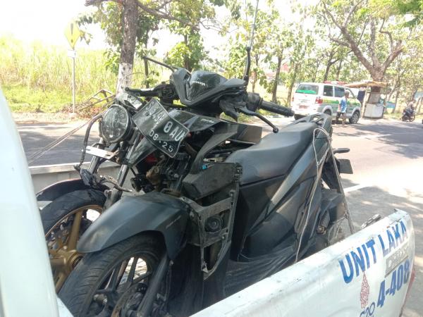 Adu Banteng Pemotor di Pandanwangi Jombang, 1 Orang Dilaporkan Tewas di Lokasi