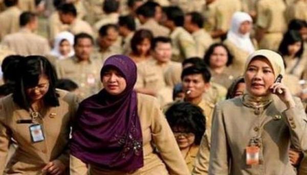 Pendaftaran CPNS 2024 Segera Dibuka, Ini Link Berikut Cara Daftarnya