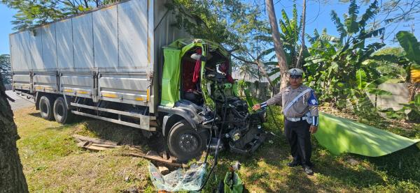 Diduga Ngantuk saat Nyetir, Truk Tabrak Pohon di Tol Sidoarjo