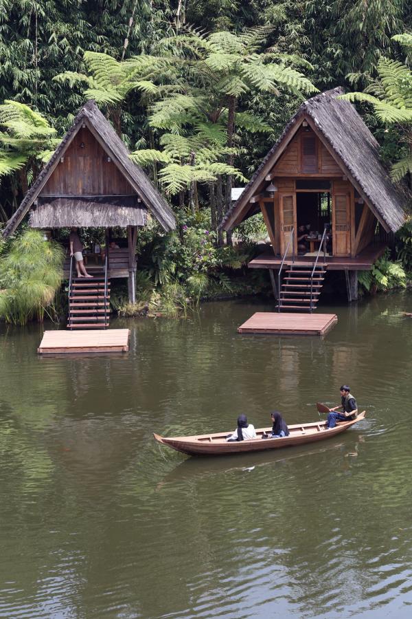 a sample image