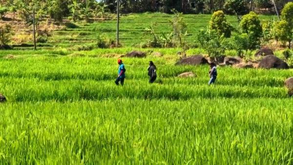 Berkunjung ke Desa Wisata Klepu Ponorogo, Apa Saja Suguhannya