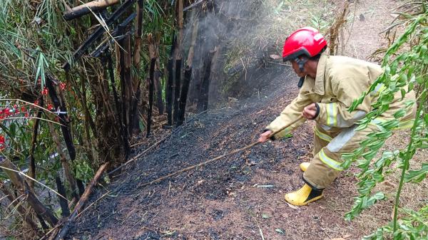 Kebakaran Lahan di Ciamis Terjadi Lagi, Kebun Tajudin di Rancah Ludes Terbakar