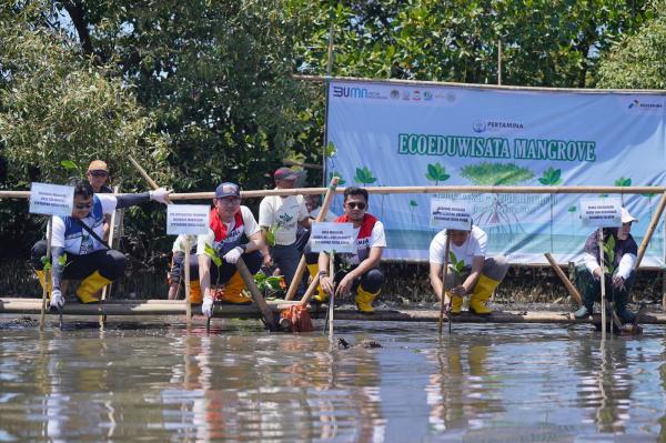 Pertamina Patra Niaga Sulawesi tanam 3000 bibit mangrove di parangloe makassar