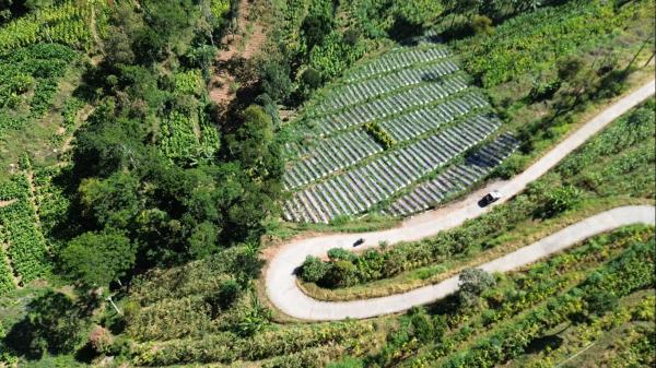 Honda Beat Ngacir di Lereng Merbabu, Emak-Emak Lincah Taklukkan Tikungan Timboa