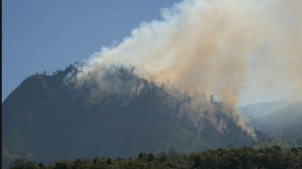 10 Hektar Hutan dan Lahan di Kawasan TNBTS Desa Argosari Terbakar Akibat Kemarau Panjang