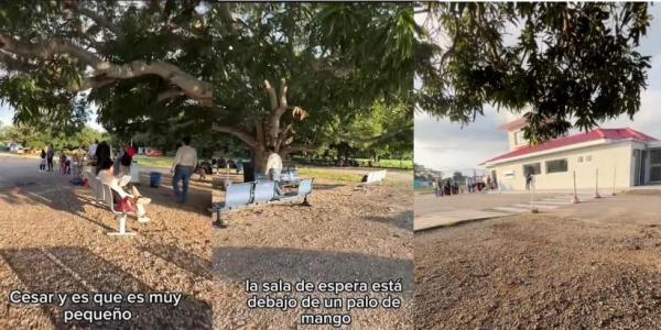 Viral! Bandara Ini Terkecil di Dunia, Ruang Tunggu Unik di Bawah Pohon Mangga