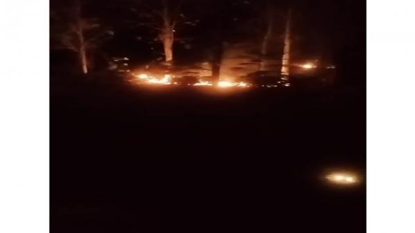 Hutan KPH Purwodadi Terbakar, Jalan Grobogan-Kudus Tertutup Asap