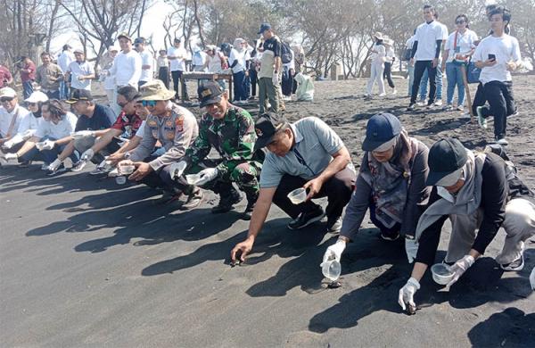 Program CSR PT Angkasa Pura I Bandara YIA, Lepas 100 Tukik di Pantai Trisik