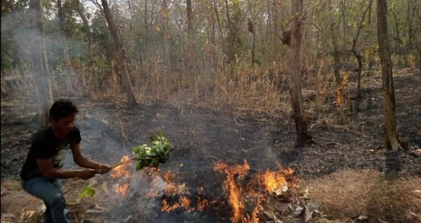 Upaya Pemadaman Api di Lahan Hutan KPH Purwodadi, Membutuhkan Waktu 3 Hari Baru Padam