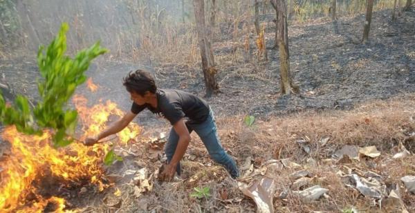 3 Hari Sudah Upaya Pemadaman Api Yang Membakar Lahan Hutan KPH Purwodadi