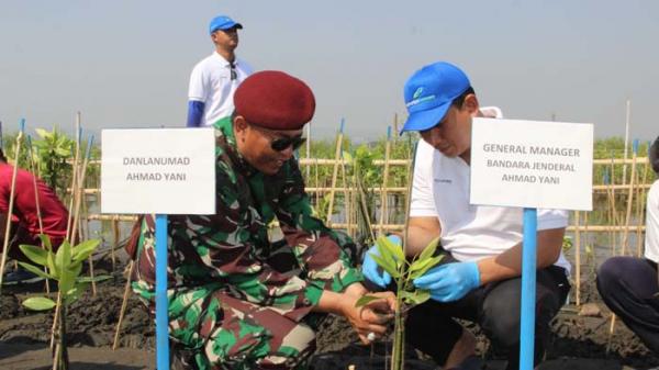 Jaga Kelestarian Alam, Bandara Semarang Tanam 6.000 Bibit Mangrove di Pantai Mangunharjo