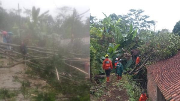 Pohon Tumbang Timpa Rumah Warga dan Jalan Kampung di Cikoneng Ciamis