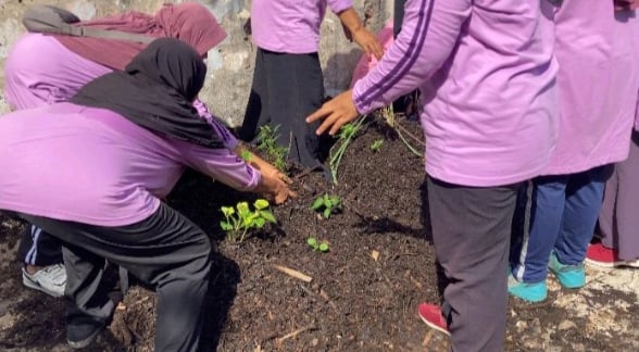 UPN Veteran Jawa Timur Dorong Urban Farming di Gunung Anyar, Solusi Ketahanan Pangan Kota Surabaya