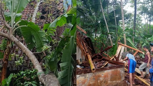 Cuaca Ekstrem, Rumah Warga di Kadupandak Ciamis Rusak Tertimpa Pohon Tumbang