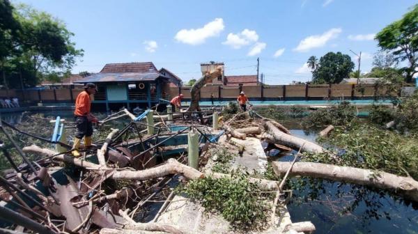 Pohon Tumbang di Wisata Kolam Ikan Dewa Kuningan, Kerugian Materil Dialami Pengelola