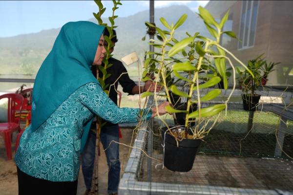 Sofha Bahtiar Tinjau Pilot Project di Mamasa, Fokus pada Literasi dan Penanganan Stunting