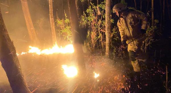 Kebakaran Lahan Terjadi Lagi di Banjaranyar Ciamis