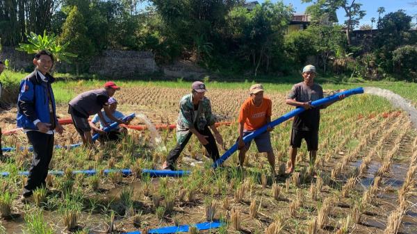 Percepat Olah Lahan dan Tanam, Dinas Pertanian Garut Lakukan Pompanisasi