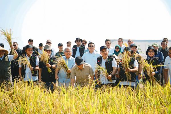 Kolaborasi Besar untuk Kebangkitan Pangan: Benih Berkualitas Kunci Ketahanan Nasional