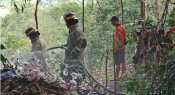 Kebakaran Lahan, Kebun Salak dan Bambu di Cidolog Ciamis Gosong Diamuk si Jago Merah