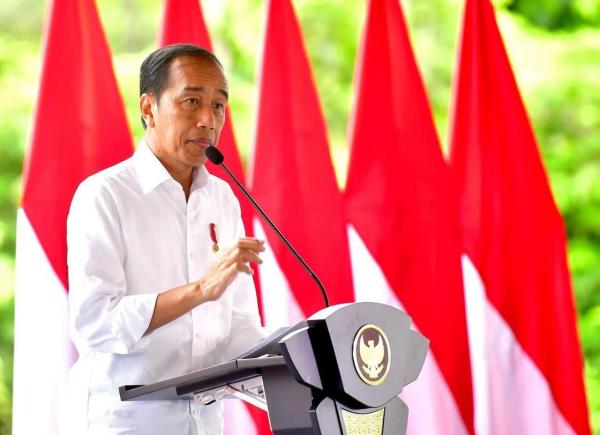 Presiden Jokowi Apresiasi TNI-Polri Atas Kebebasan Pilot Philips Usai 1,5 Tahun Disandera