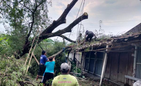 Hujan dan Angin Kencang Melanda Sukoharjo, Rumah Warga Tertimpa Pohon Tumbang