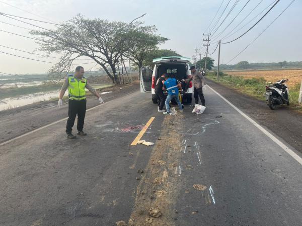 Gagal Mendahului, Ibu RT Pengendara Motpr Tewas Kecelakaan di Jalan Raya Cerme