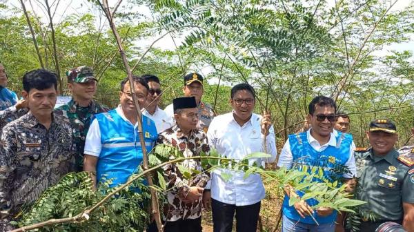 Program Biomassa PLN: Lahan Tandus di Bojongkapol Tasikmalaya Kini Produktif