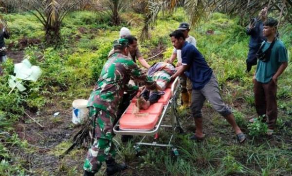 Diduga Kelaparan dan Tewas, Wanita Ini Ditemukan di Dalam Kebun Sawit Perusahaan