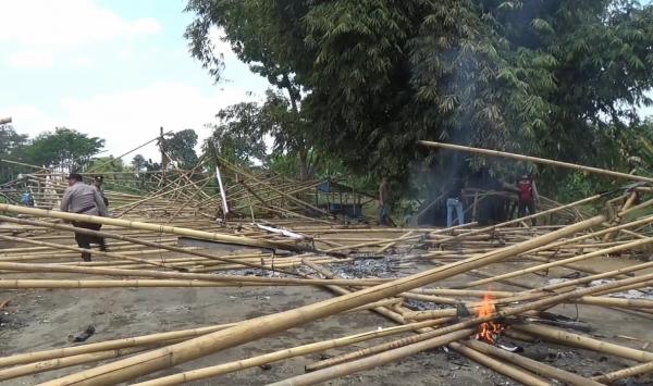 Polisi Gerebek Arena Sabung Ayam di Lumajang, Pelaku Berhasil Kabur