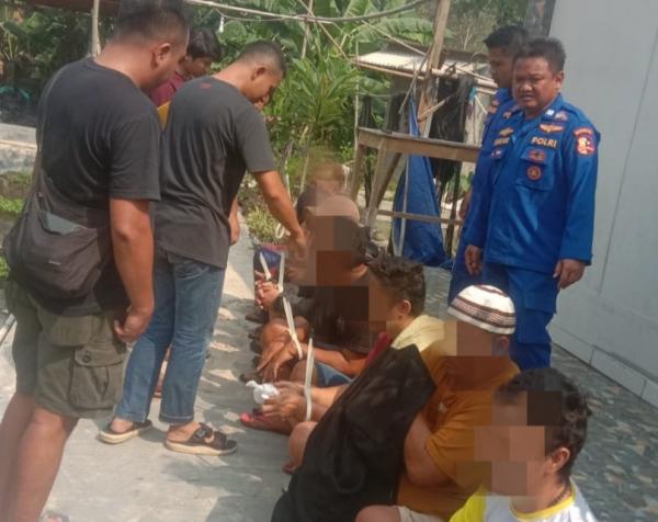 Polisi Tangkap 7 Pengusaha Baby Lobster Ilegal di Lebak Banten, Disita Barbuk 134 Ribu Ekor