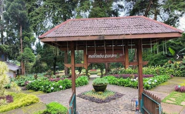 10 Rekomendasi Tempat Sarapan di Bogor, Menikmati Udara Segar Ditemani Menu Lezat Beragam