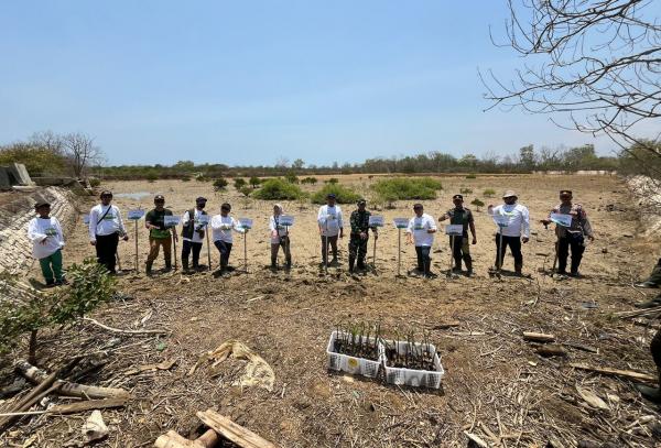 Gotong Royong Lestarikan Pesisir, Pertamina EP Poleng Field Tanam Belasan Ribu Pohon di Bangkalan