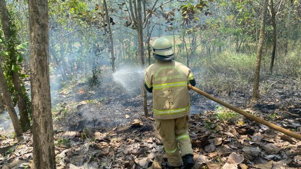 Kebakaran Lahan Ampah Jati Terjadi Lagi di Ciamis