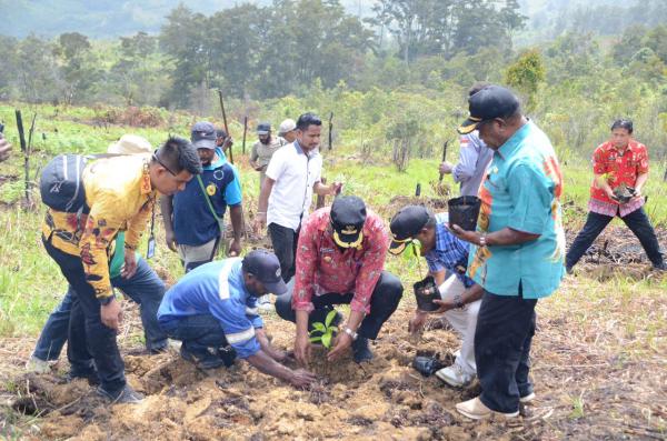 PJ Bupati Jayawijaya Tanam 1000 Pohon Alpukat di Distrik Bpiri, Dorong Masyarakat Tingkatkan Ekonomi