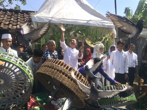 Komunitas Burung Merpati Lumajang Siap Menangkan Indah-Yudha