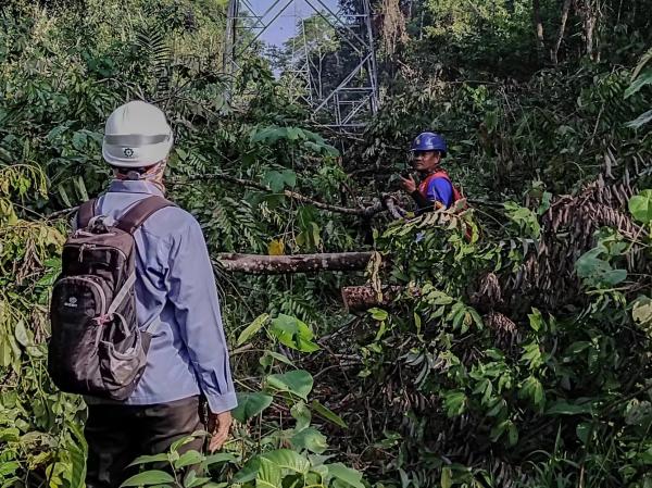 Jerih Payah PLN UIP KLT Bangun SUTT 150kV Talisayan – Maloy, Masa 5 Tahun Kepemimpinan Erick Thohir