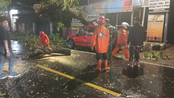 Pohon Tumbang Timpa Mobil dan Motor, Seorang Pengendara Terpaksa Dirawat di RSUD Ciamis