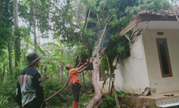 Rumah Warga di Banjar Rusak Tertimpa Pohon Akibat Hujan Deras dan Angin Kencang