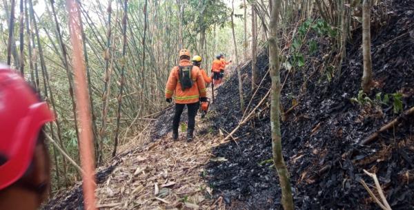 Gara-Gara Puntung Rokok Lahan Kebun Seluas 2 Hektar di Cimaragas Ciamis Diamuk si Jago Merah