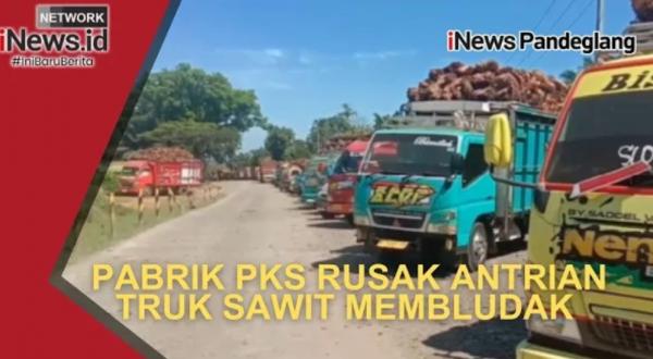 PKS Kertajaya Kewalahan! Antrian Truk Sawit di Lebak Membludak Akibat Pabrik Rusak