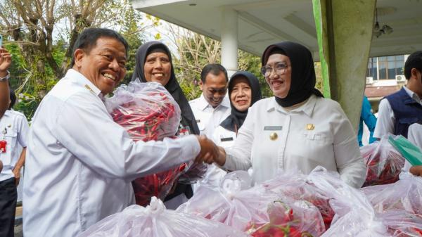 Harga Cabai Anjlok, Pemkab Lumajang Inisiasi Gerakan ASN Beli Cabai Petani Lokal