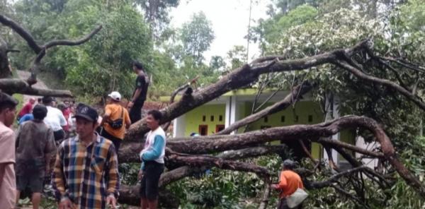 Puting Beliung Terjang Cikamunding Lebak, Puluhan Rumah Rusak Parah!