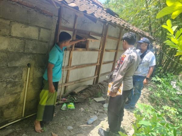 Polres Grobogan Ungkap Kasus Pencurian di Geyer, Pelaku Warga Ketanggungan Brebes