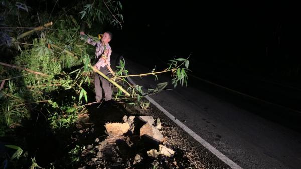 Diduga Akibat Hujan Disertai Angin Kencang, Bambu Roboh dan Jatuh Halangi Jalan di Jalinsum