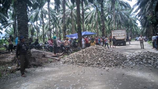 Forum Masyarakat Bumi Pekal di Bengkulu Utara Tutup Jalan Perusahaan Sawit PT Agricinal